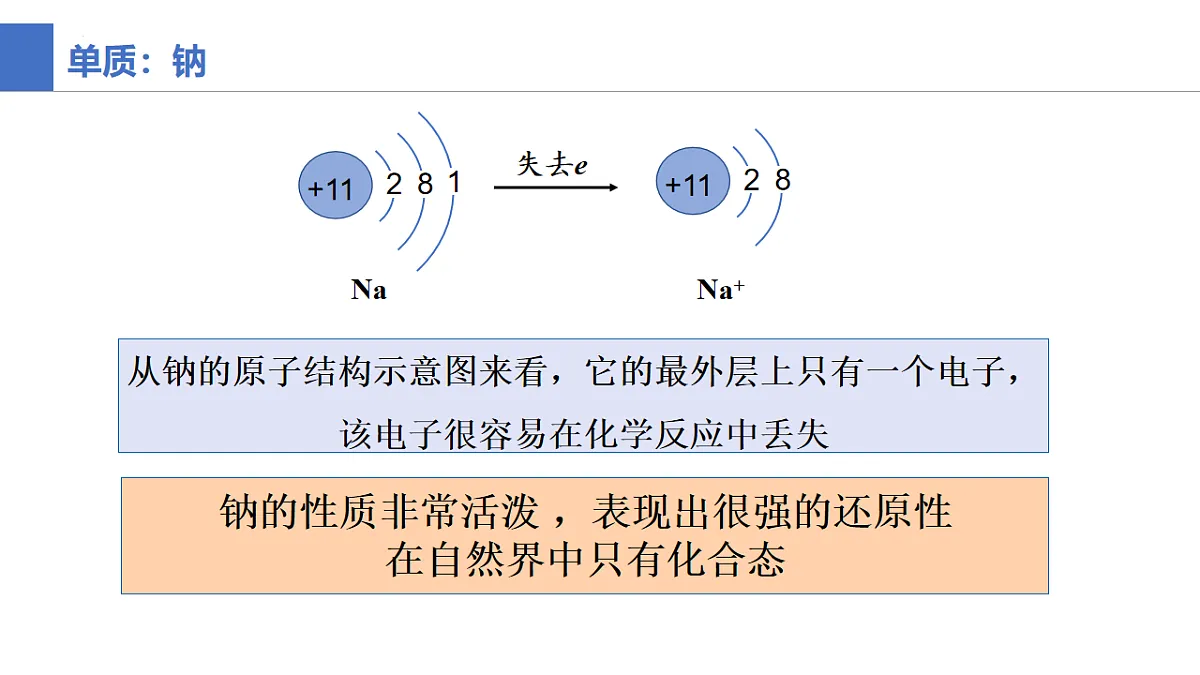 17672797第5页
