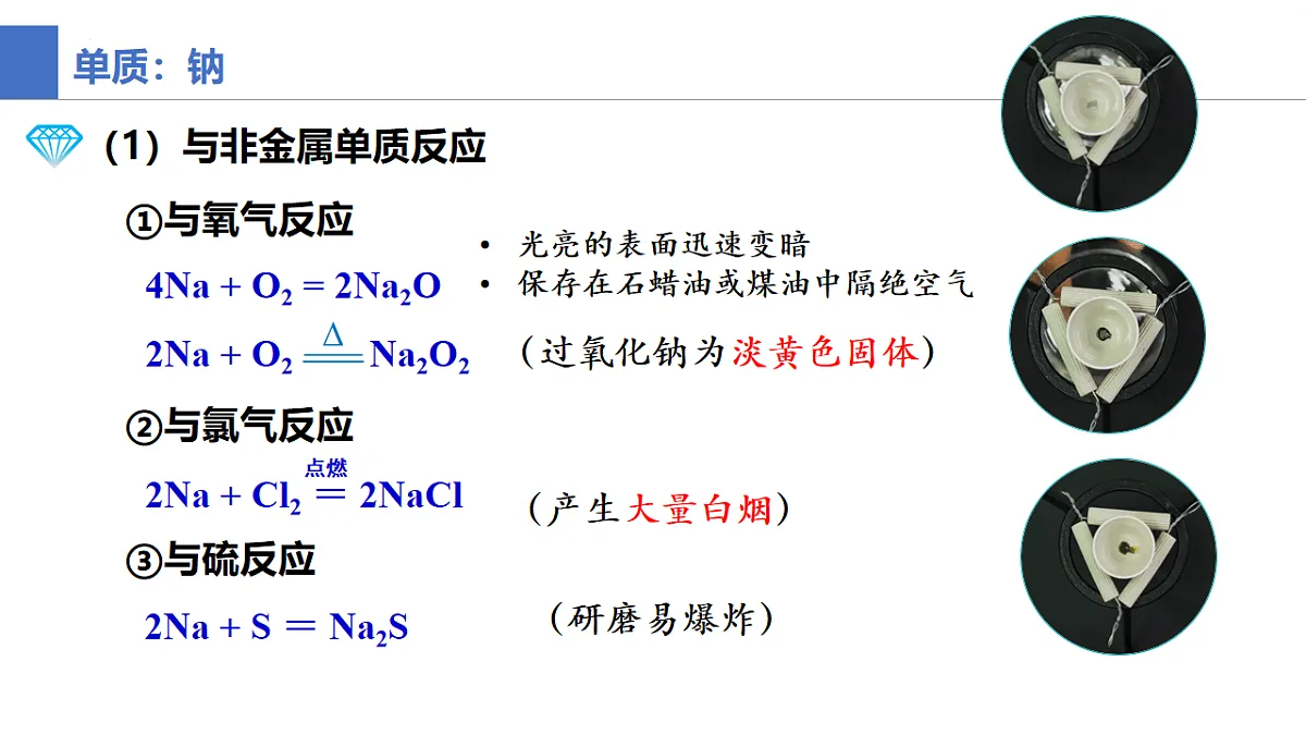 17672797第7页