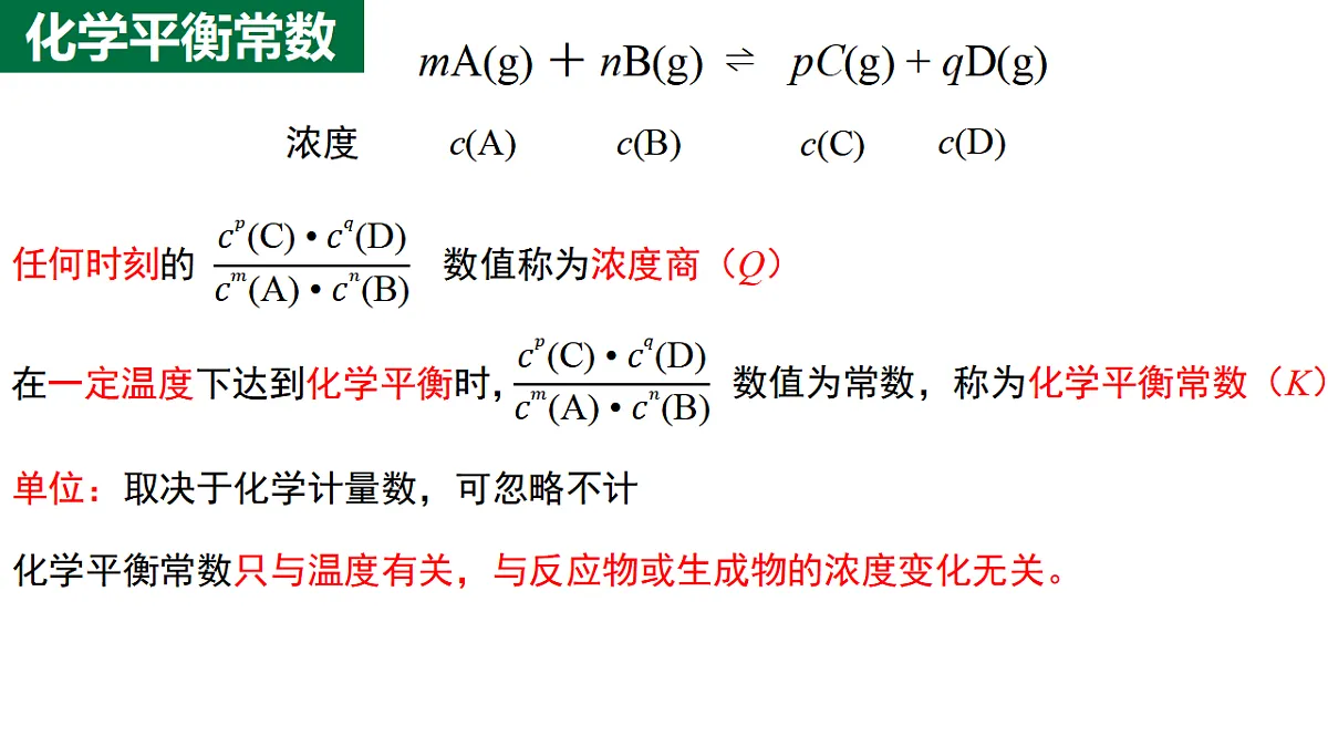 17672809第2页