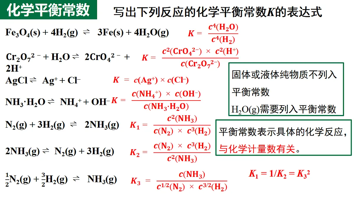 17672809第3页