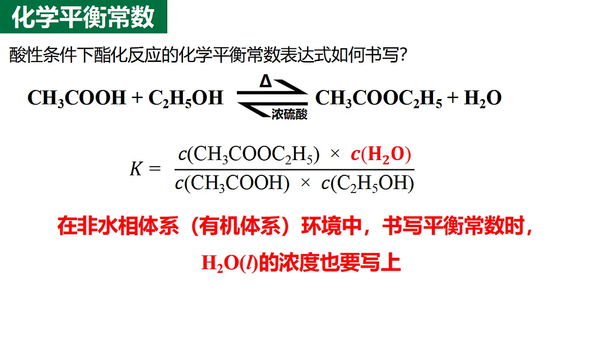 17672809第4页