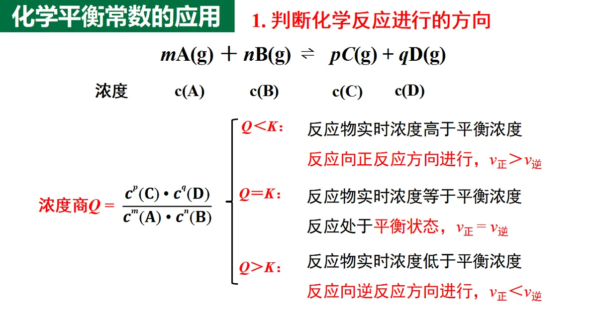 17672809第7页