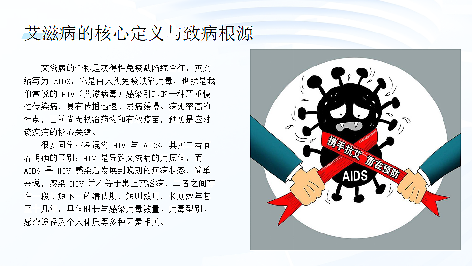 17672866第6页