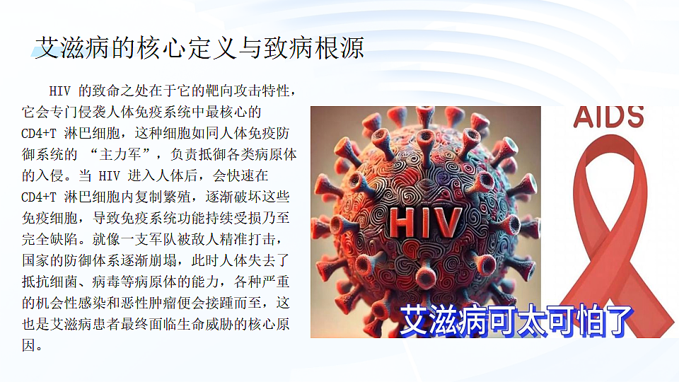 17672866第7页