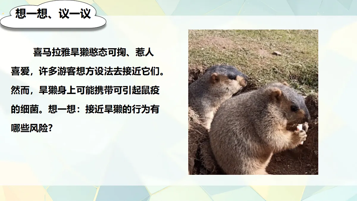 17672869第1页