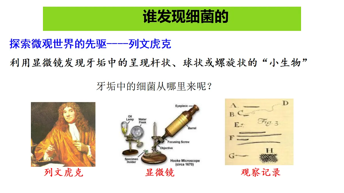 17672869第3页