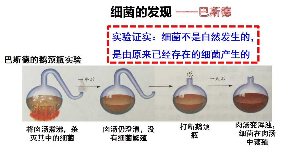 17672869第4页