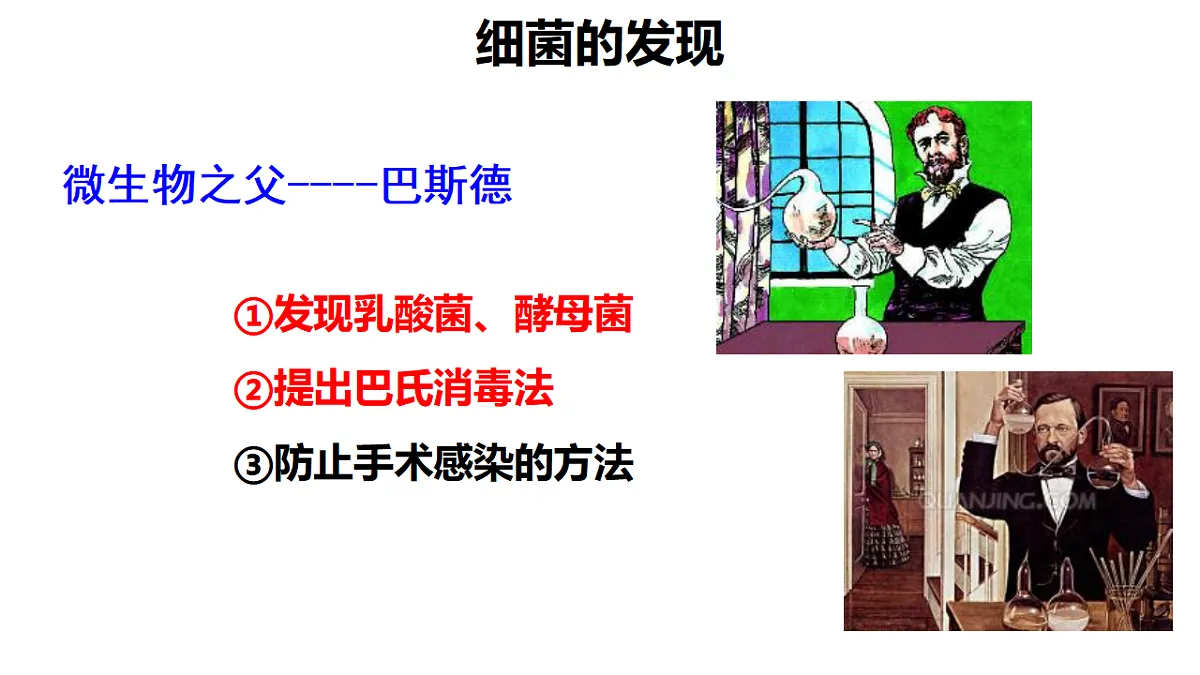 17672869第5页