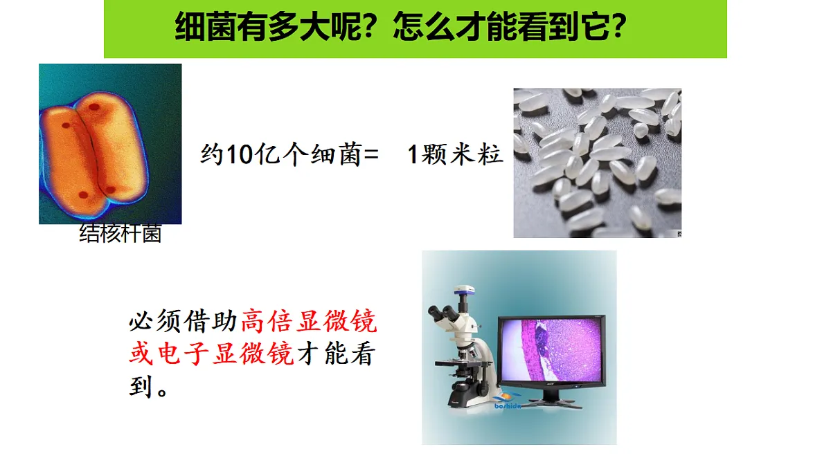 17672869第6页