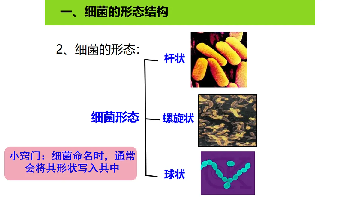 17672869第8页
