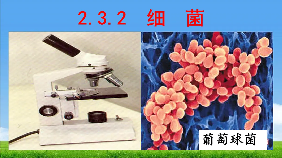 17672870第1页