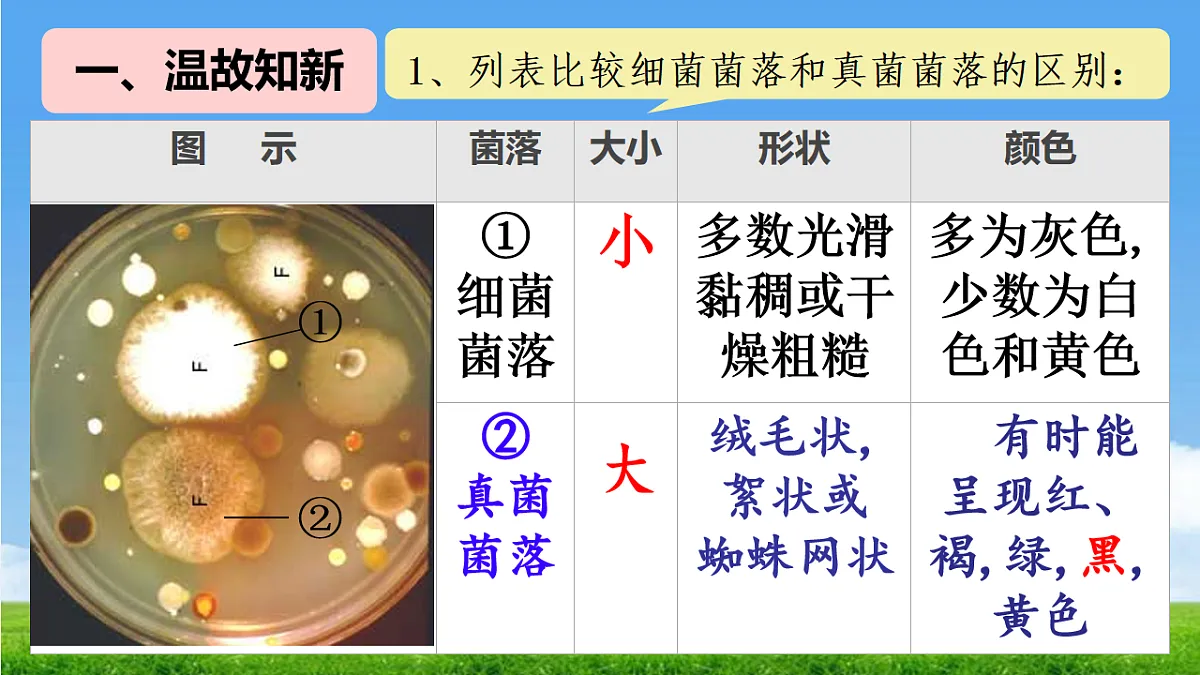 17672870第2页