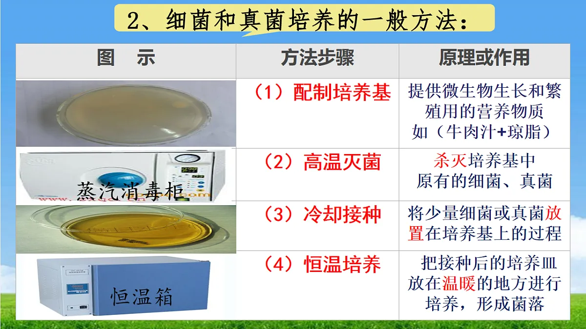17672870第3页