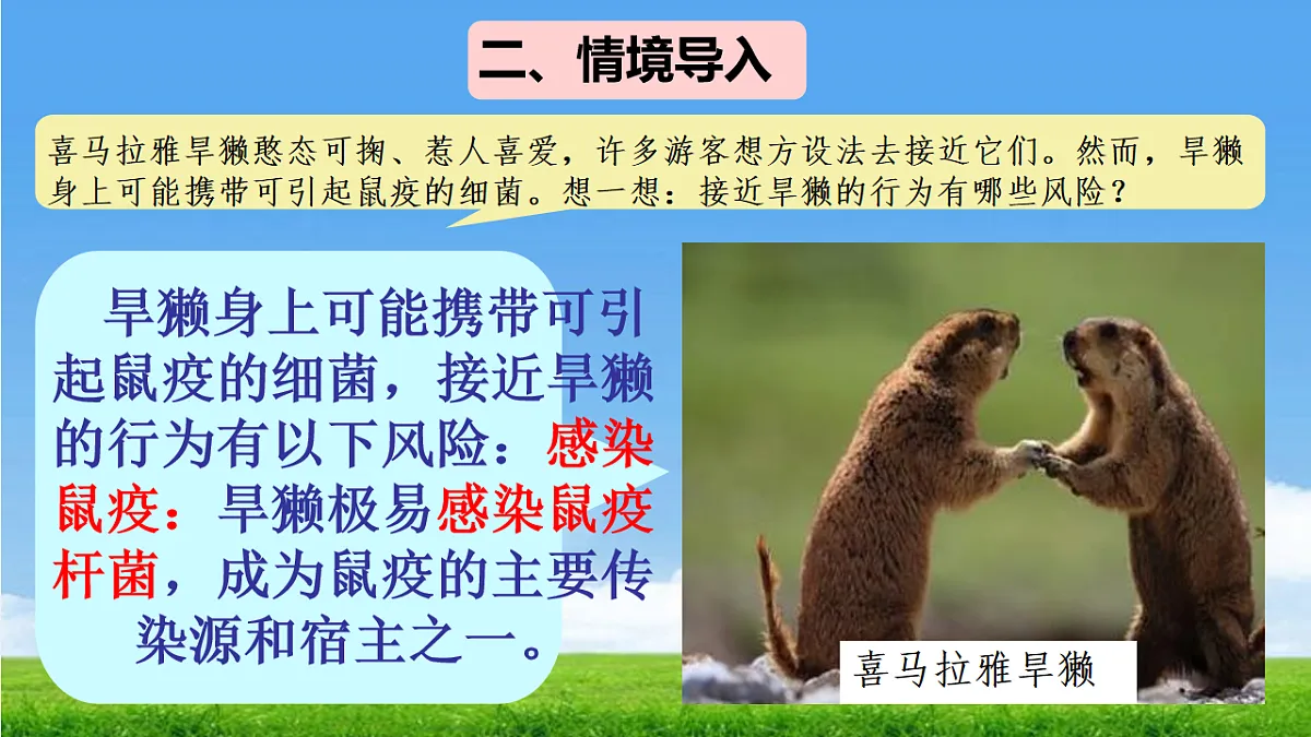 17672870第4页