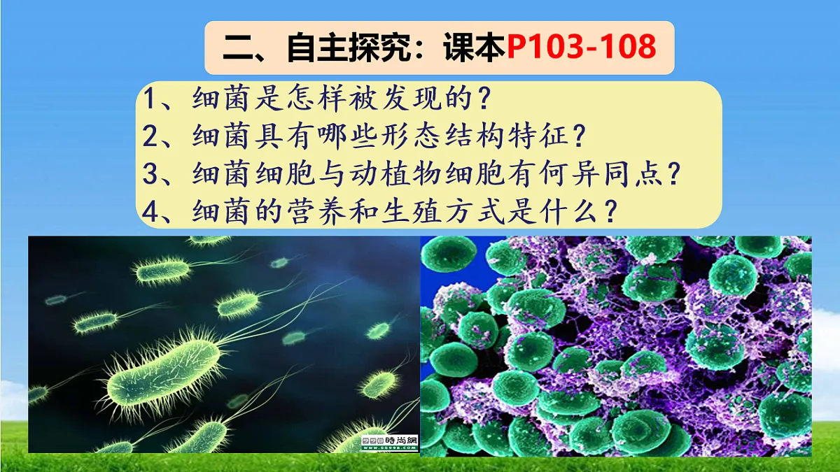 17672870第5页