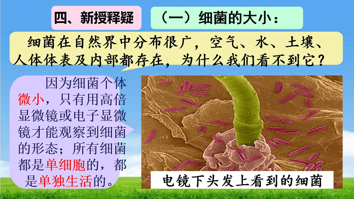 17672870第6页