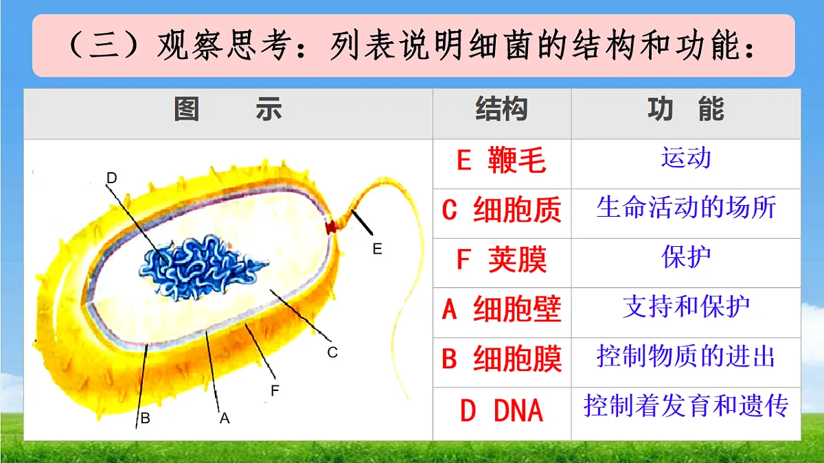 17672870第8页