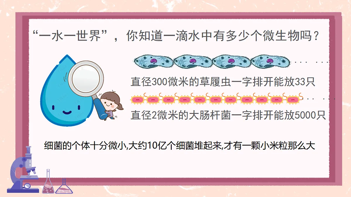 17672871第3页