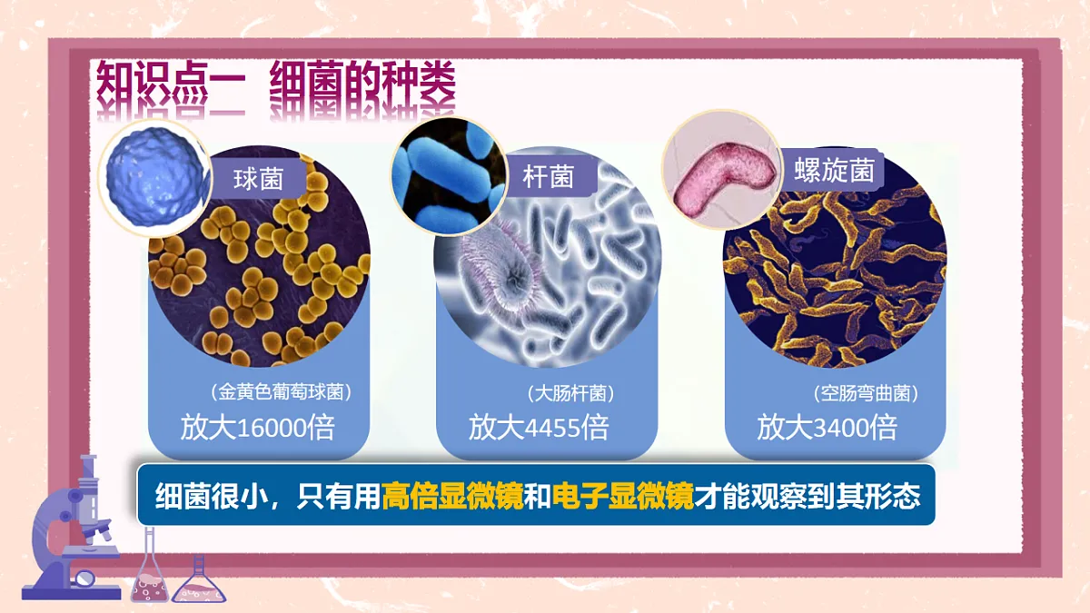 17672871第4页