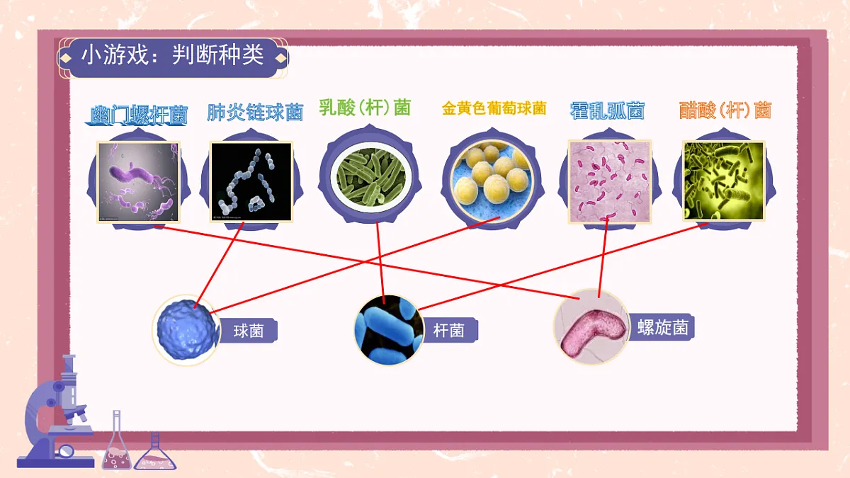 17672871第5页