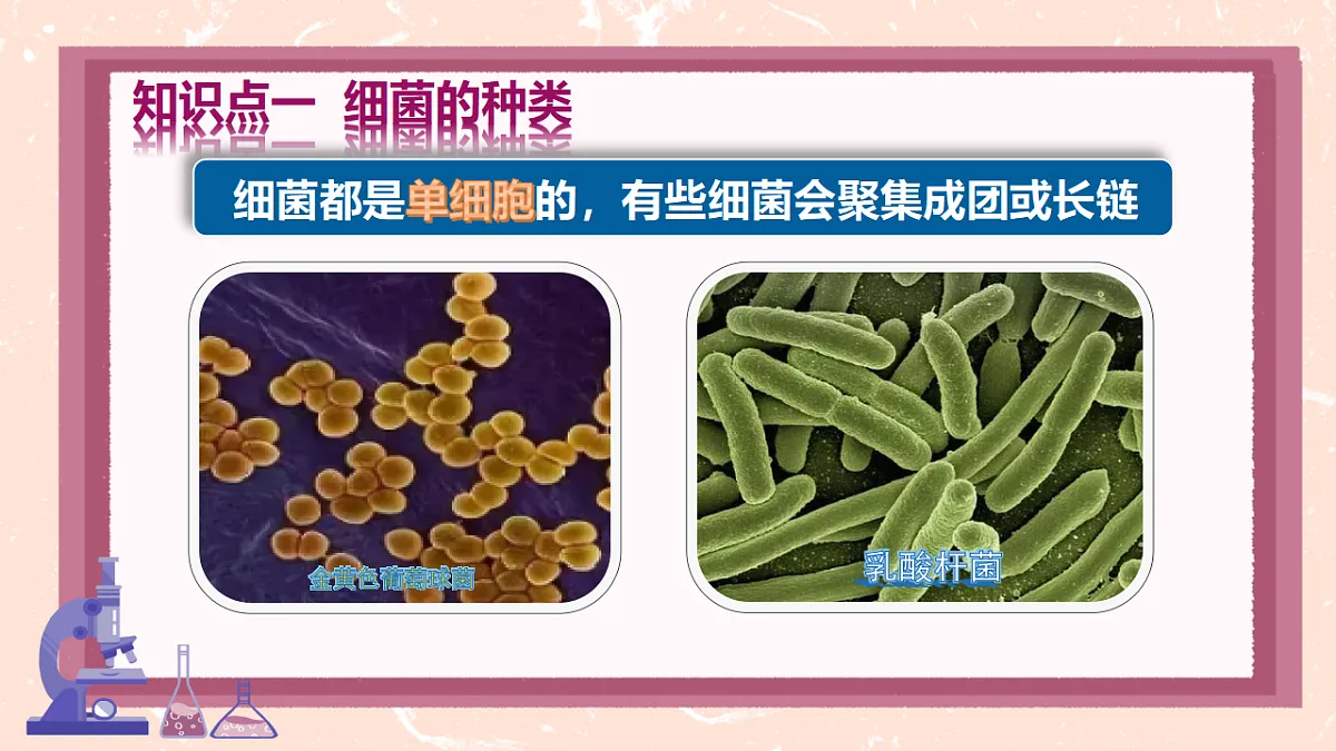 17672871第6页