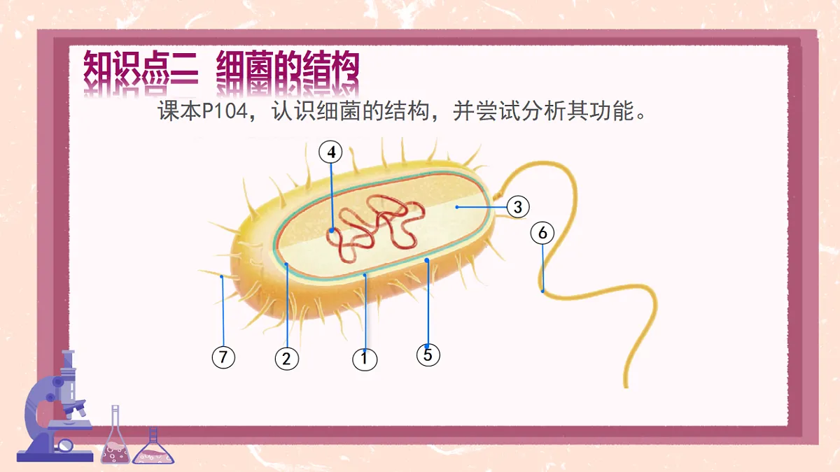 17672871第7页