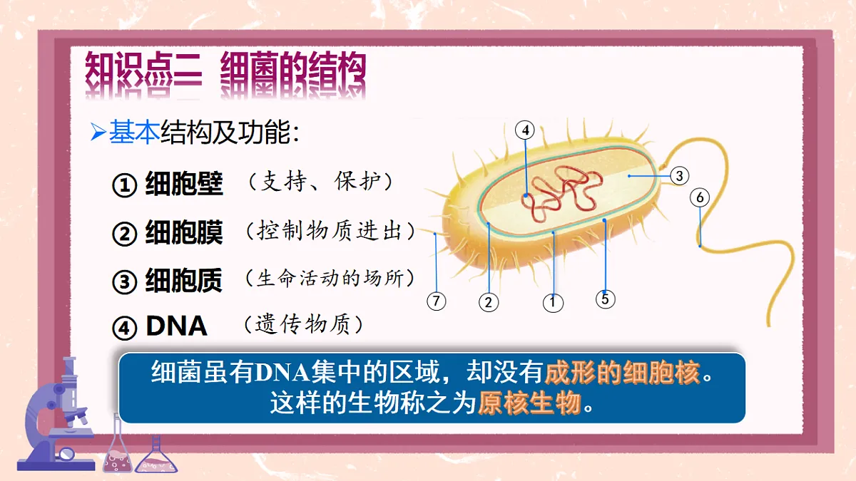 17672871第8页