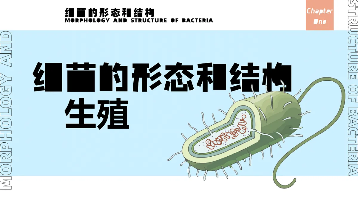 17672872第2页