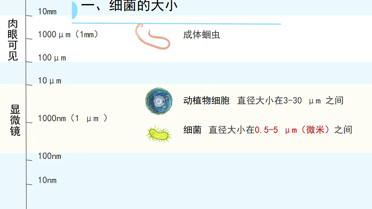 17672872第3页
