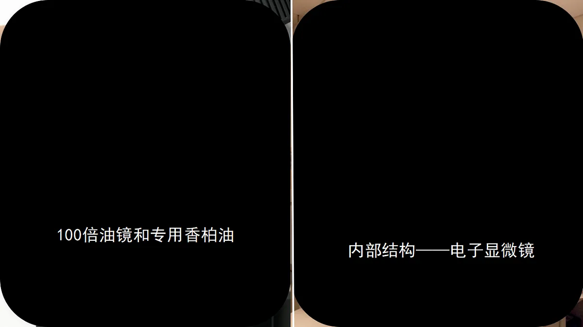 17672872第4页