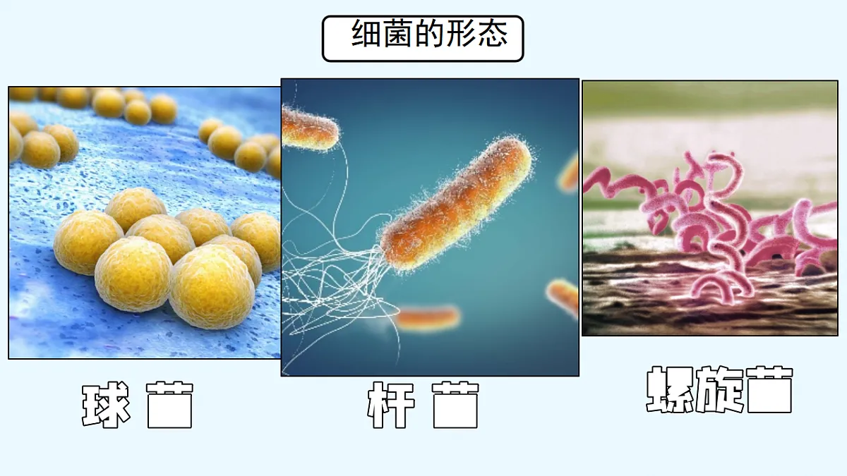 17672872第5页