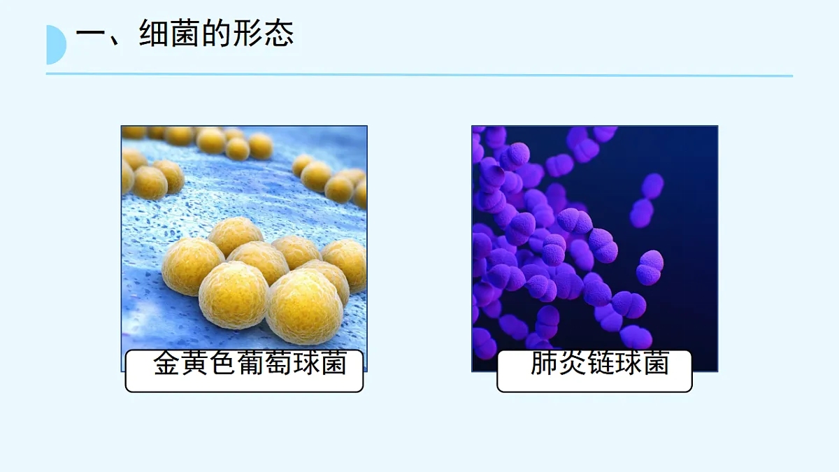 17672872第6页