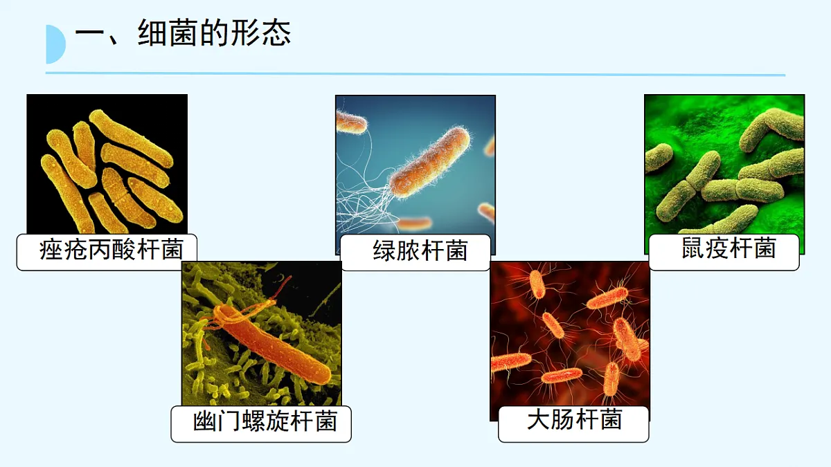 17672872第7页