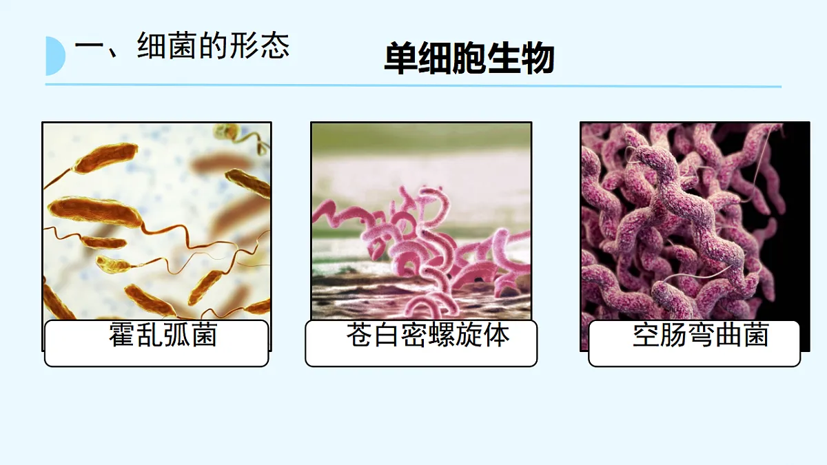 17672872第8页