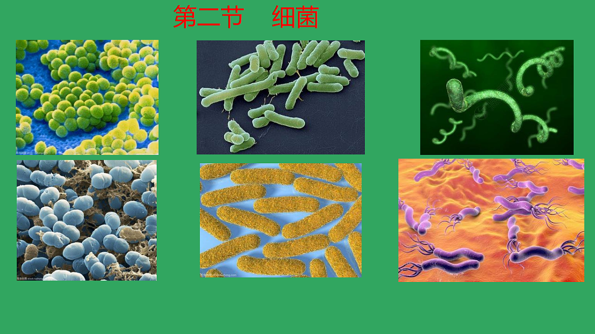 17672873第1页