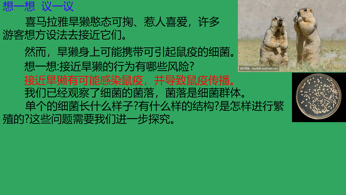 17672873第3页