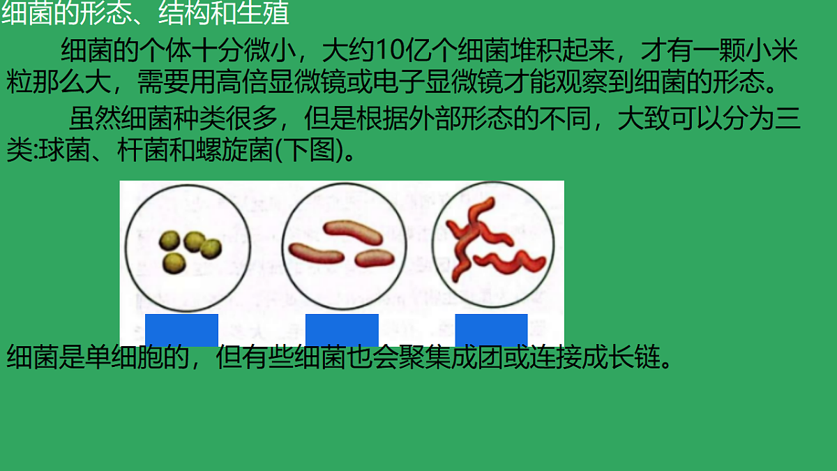 17672873第4页