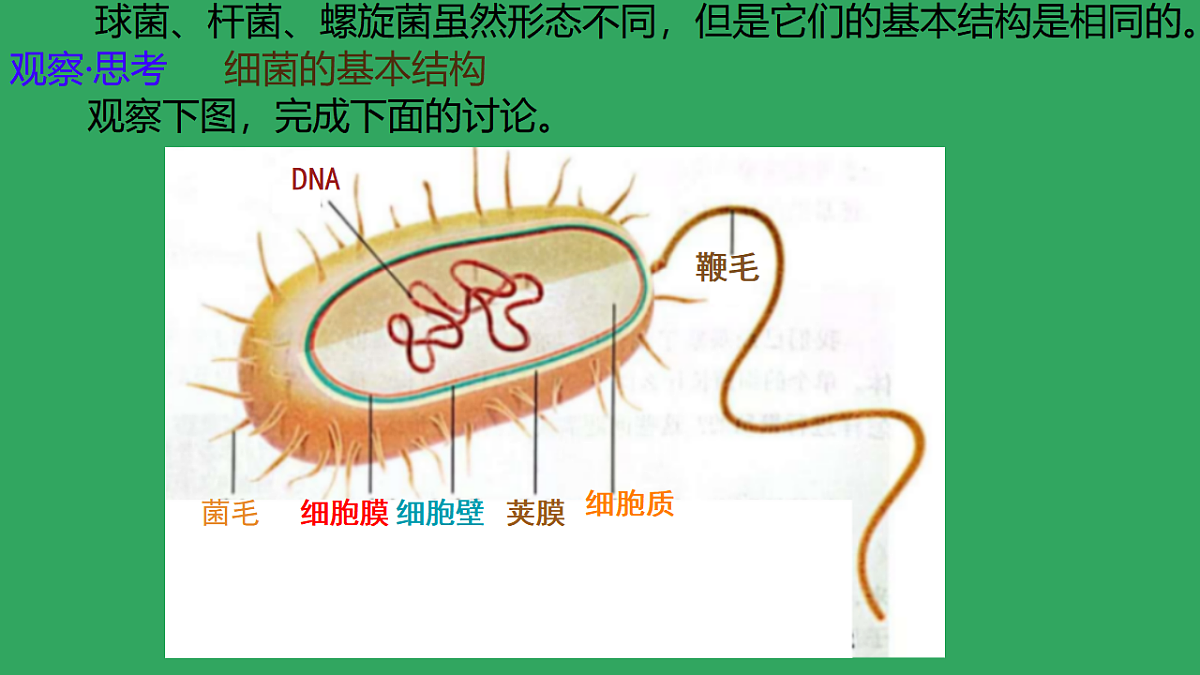 17672873第5页
