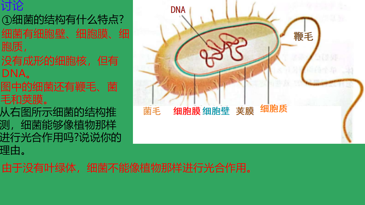 17672873第6页