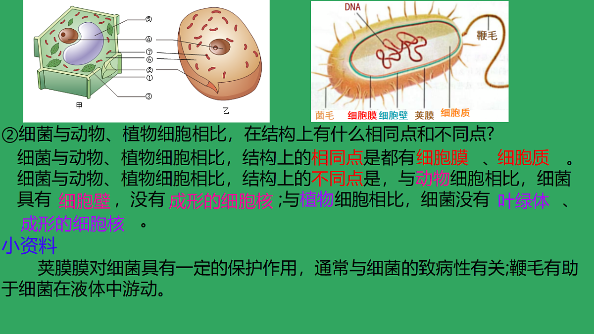 17672873第7页