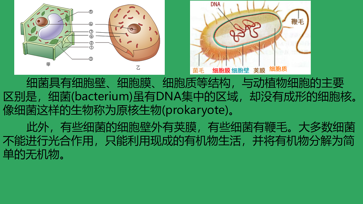 17672873第8页
