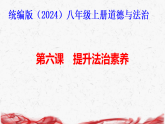 统编版（2024）八年级上册道德与法治 第六课 提升法治素养 复习课件【含练习题+答案  】