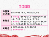 统编版（2024）八年级上册道德与法治 第七课 追求自由平等 复习课件【含练习题+答案  】