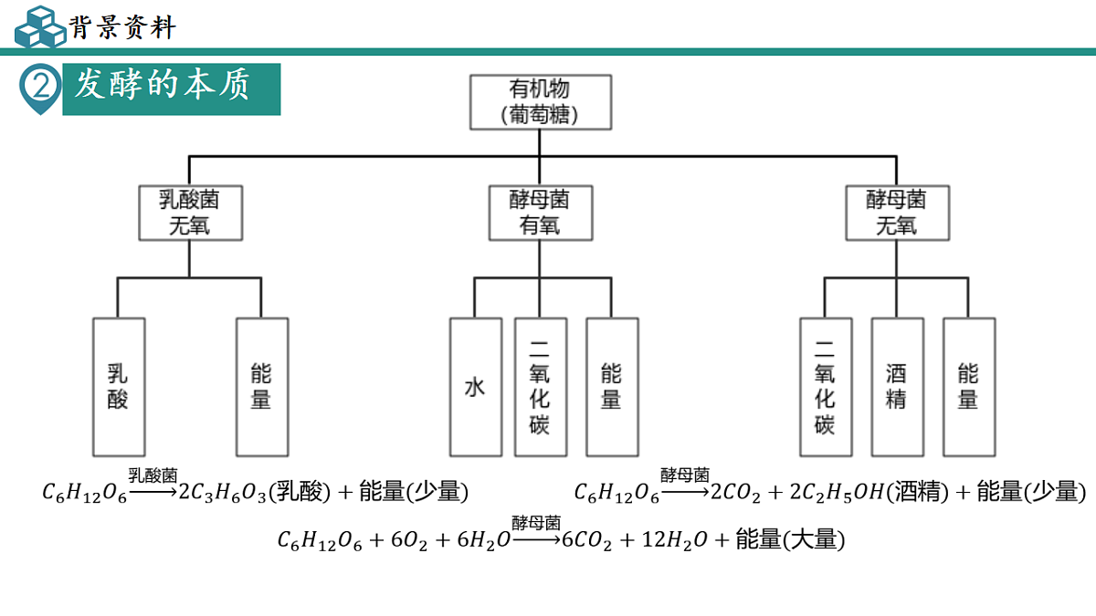 17673608第3页