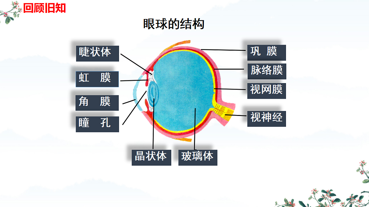 17674402第3页