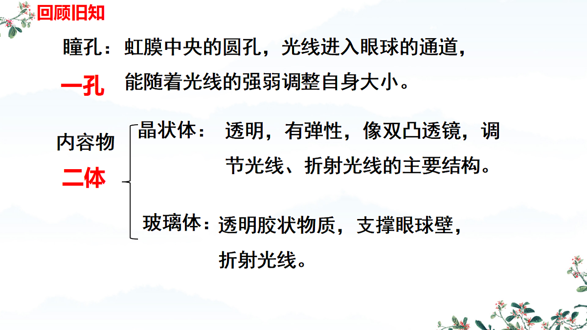 17674402第4页