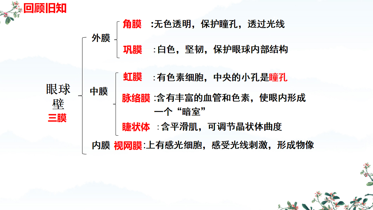 17674402第5页