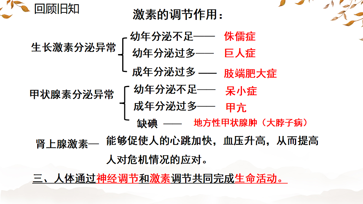 17674416第3页