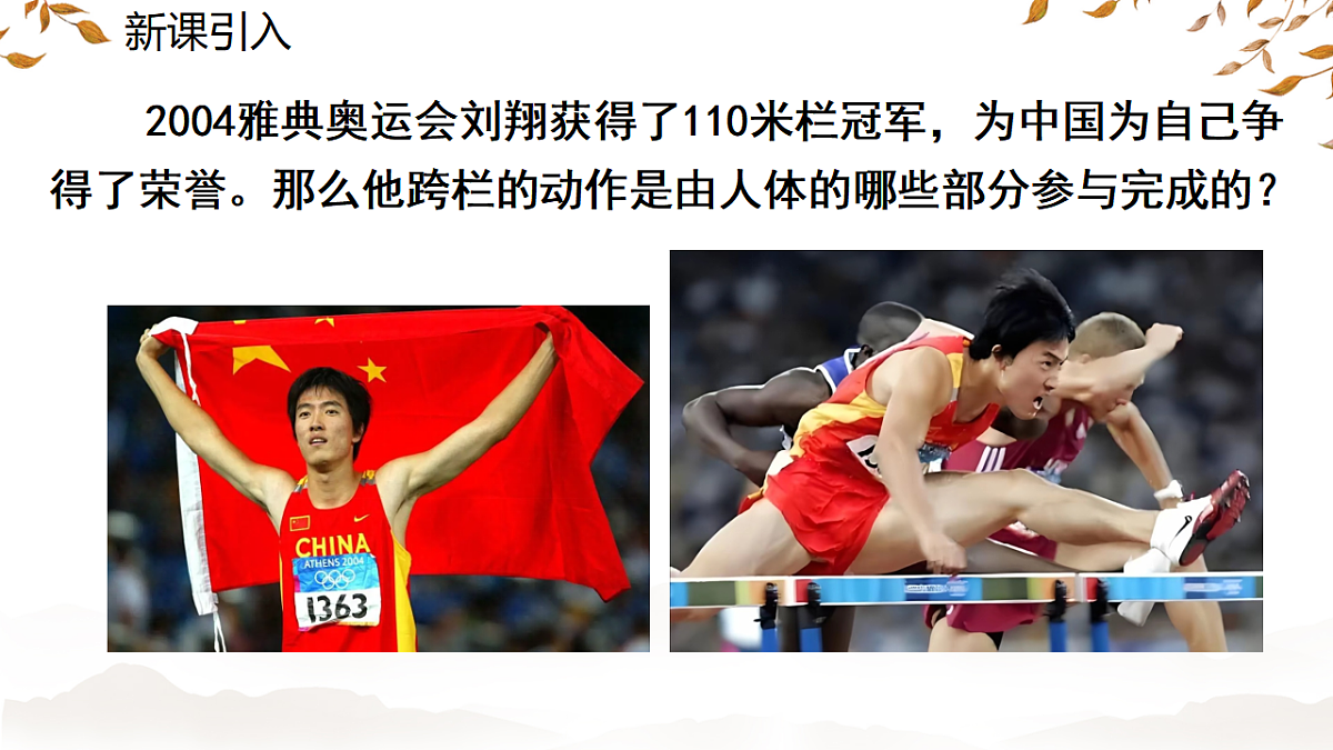 17674416第4页