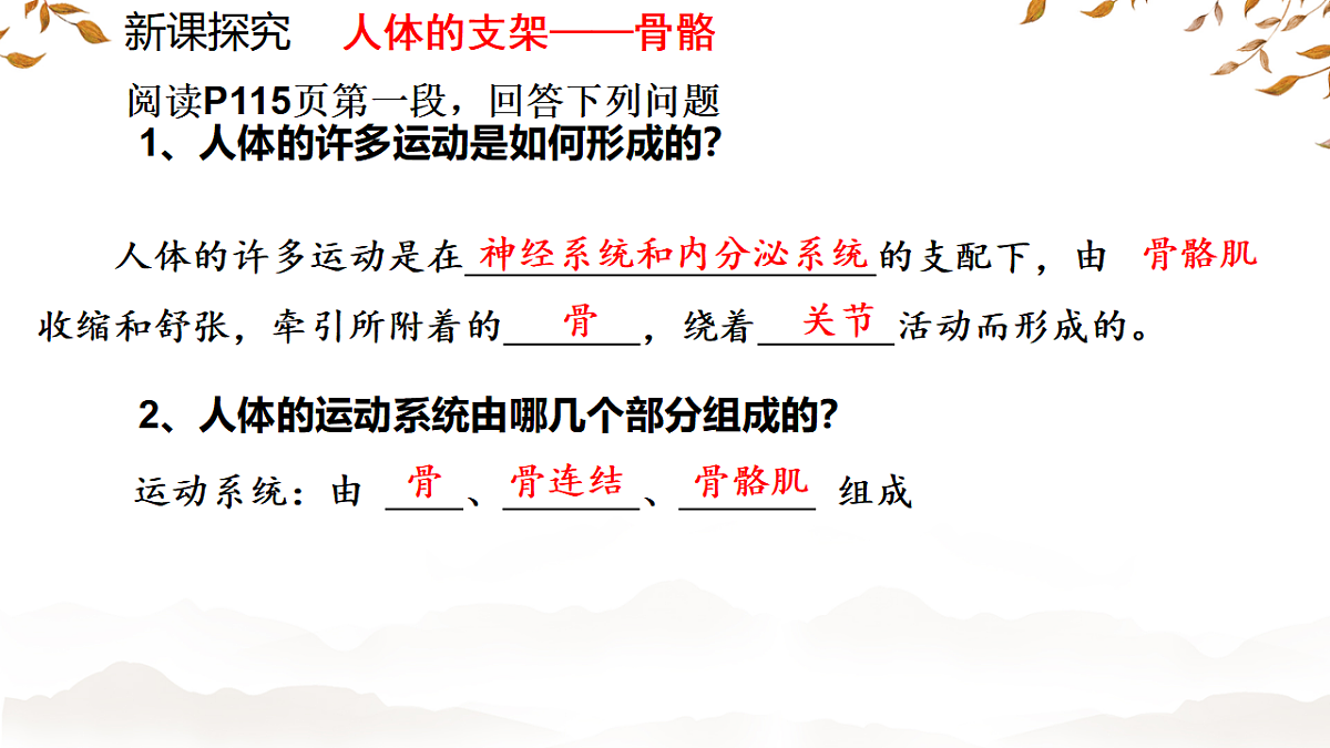 17674416第5页